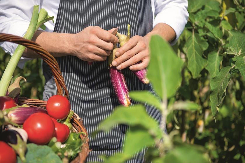 FARM TO TABLE COOKING EXPERIENCE Messinia's rich soil and favorable climate prompted the 5th century BC Greek playwright Euripides to call it "the land of the good fruit".