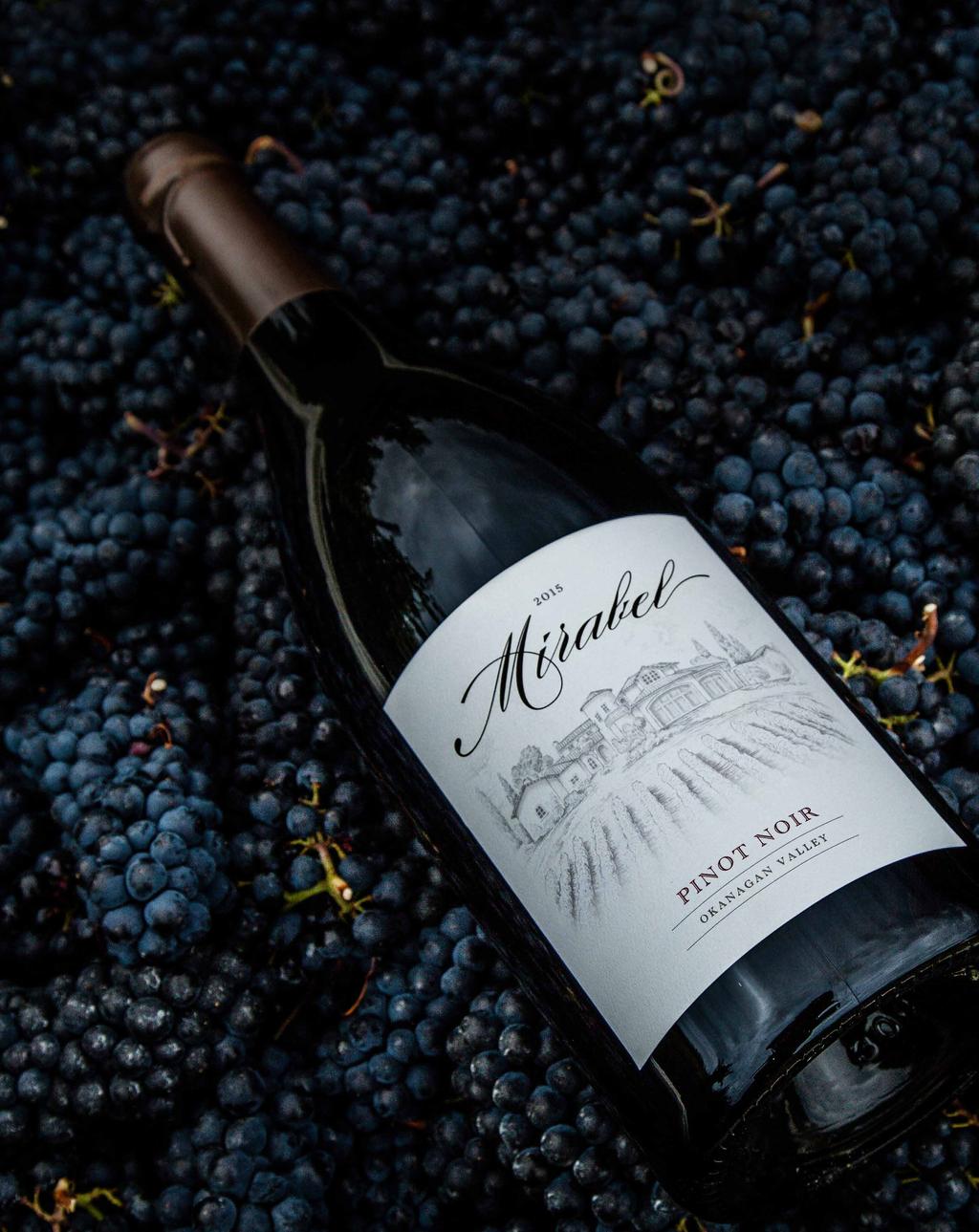 Wines 2015 PINOT NOIR Intensely aromatic, brooding dark fruits intertwine with subtle toasty nuances.