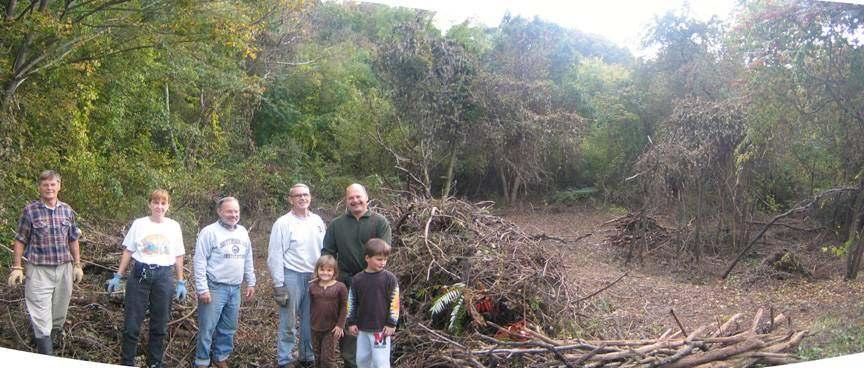 Kudzu site Oct 18: two trailer loads of debris have been removed from the site but dead kudzu with seed pods is still