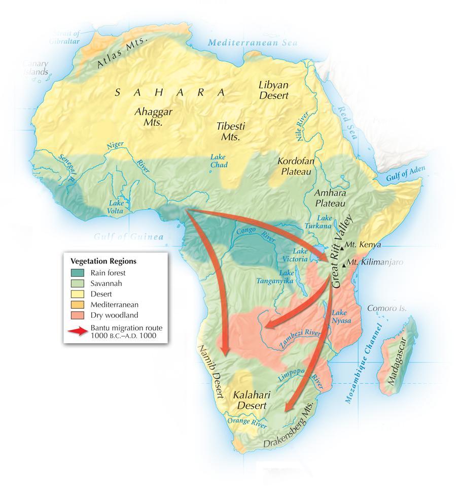 Section 1 African vegetation regions are wide bands across the continent.