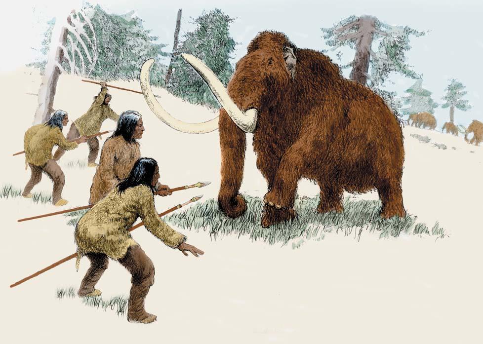 Top and above: Using only stonetipped weapons and their ingenuity, the Paleolithic hunters killed mammoth and other large animals.