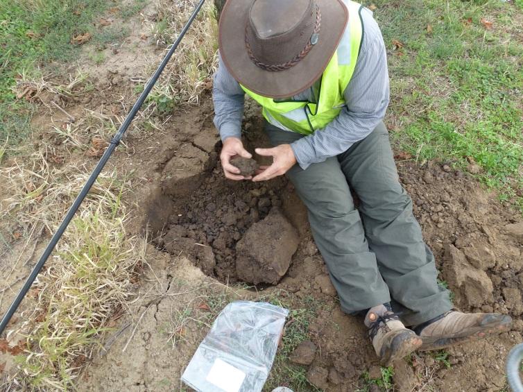 7. Physical Testing The soils for physical analyses are taken by a different method to preserve the soil structure.