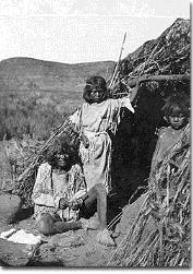 Men wore breechcloths, women wore skirts. The Goshute Lived in a dry region.