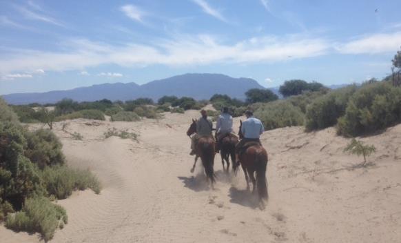 03868-428707 Horseback riding through the Dunes Enjoy a guided tour through the sand dunes immersed in the most beautiful