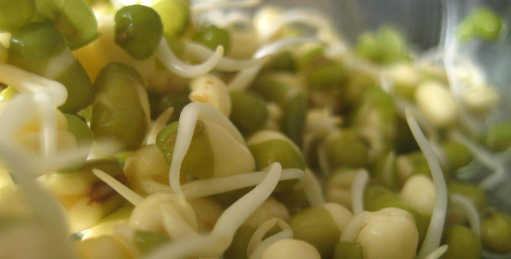 What is it? Mung beans are the small round seeds of a mung plant. They are considered a legume, like kidney beans and lentils.