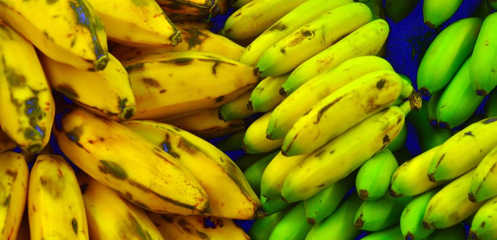 Plantain Photo Credit: flickr.com/photos/design-dog What is it? The plantain is a member of the banana family.