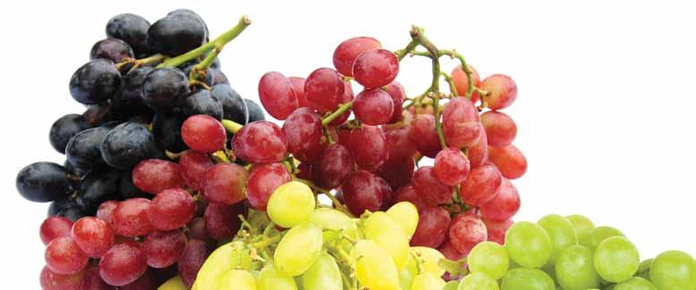 Directions for Use Thorough coverage of on grapes is necessary to provide good disease control.