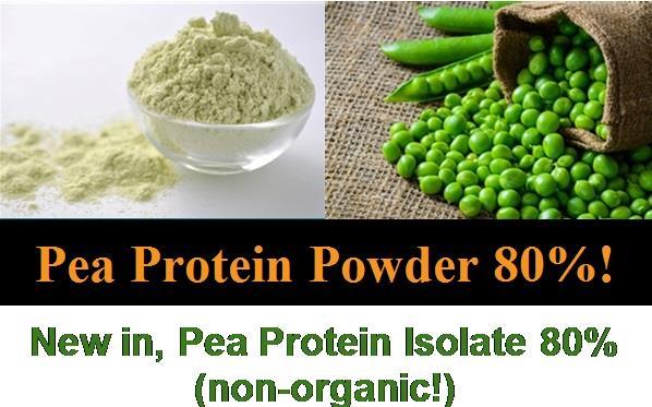 Conventional Pea Protein Powder 80 %, China, 25 kg, 1 Palette: bis zu 1 000 kg 3,95 / kg Eastern European Conventional Dried Fruits Blackberry Black Currant Blueberry Raspberry Red Currant Sour