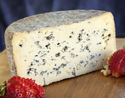 cheese surface and allow the blue mold to fully develop it s complex flavors.