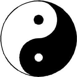 developed DAOISM - a belief in the way or "the path" a.