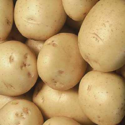 Shows good all-round disease resistance, in particular to common scab and potato cyst nematode.