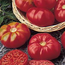 We all love Brandywine - that wonderful Amish treasure generally considered to be the world's finest flavored tomato.