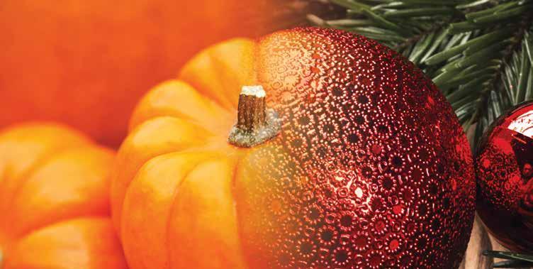 FALL/HOLIDAY FAVORITES Fill your home with the delectable scents of Autumn, or bring the warmth and glow of the holidays home.