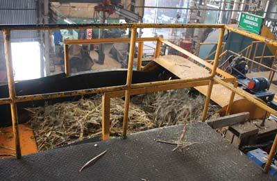 The cane moves up to the top of the feeder where it begins its first process of chopping for the milling process.