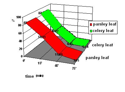 Convective drying of parsley and celery 211 representation of the change of moisture of the leaves of the parsley and of the leaves of the celery. Picture 5.