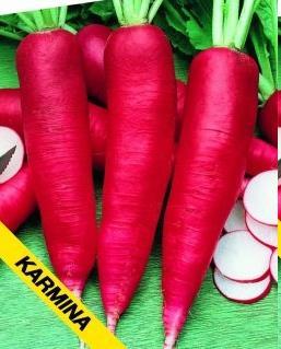 pulp, mild radish-like flavour Sowing: March through April,