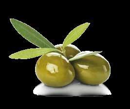 EXTRA VIRGIN OLIVE OIL Classic taste Extra Virgin Olive Oil Piave is the result of a careful and rigorous selection of the best olives and trees that guarantee its quality, its typicality and its
