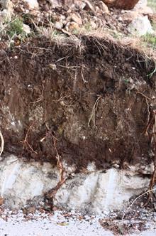 soils Stony soil