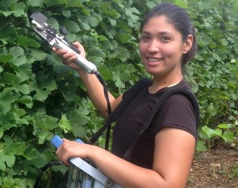 Maria Smith Pennsylvania State University Growers in the Mid-Atlantic and Northeastern US face a number of challenges to achieving high-quality wine grape production each year, including cold stress,
