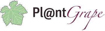 Catalogue of vines grown in France http://plantgrape.plantnetproject.