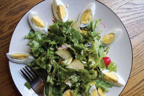 CUCUMBER and LETTUCE SALAD................................................................................................................... Combine in a bowl cucumber, lettuce, green onions, and radishes.