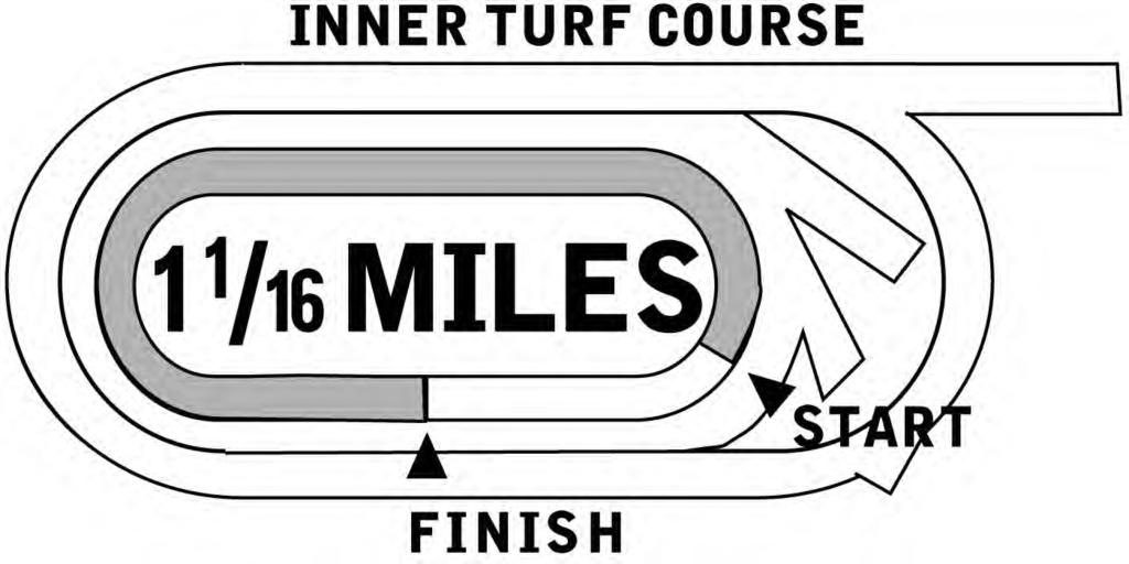 8 Belmont Coupled - Baratti and Sublime 2 Park 1Â MILES (Inner Turf).