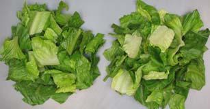 Inhibition of PAL (lettuces & vegs) Inhibition of PPO (fruits) Use