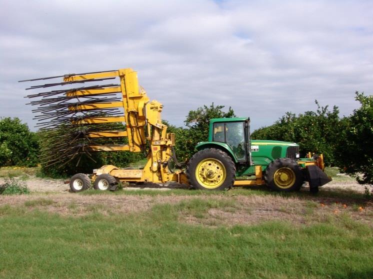 Florida Hand Harvesting Harvesting Costs Pick - $0.90 to $1.50 box Roadside - $0.90 Transportation $1.