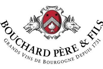 Bouchard Pere & Fils Pouilly Fuisse 2015 (France) Wine Spectator: 90 A Chardonnay star with a nose of lemon-vanilla,