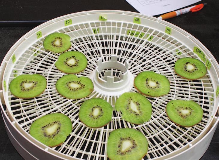 Research Article New quality index based on dry matter and acidity proposed for Hayward kiwifruit by Gayle M. Crisosto, Janine Hasey, Jorge A. Zegbe and Carlos H.