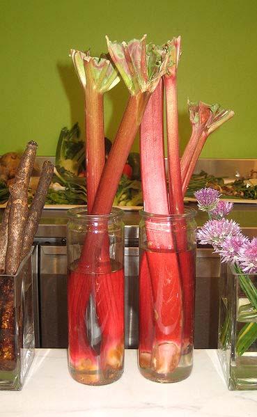 Rhubarb Grows in the Dark By ReadWorks Marco Pierre White was England s first celebrity chef. He was the first Briton to win three Michelin stars.