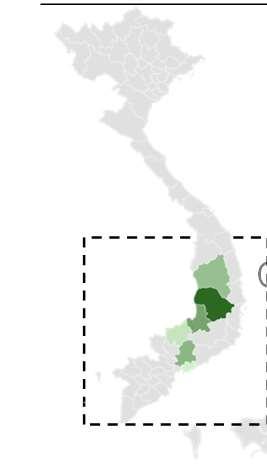 21 KMT this year Production is concentrated along the Cambodian border Dak Lak is currently the largest production region (23% of total), showing a CAGR of 21% since 212 Other regions showing strong