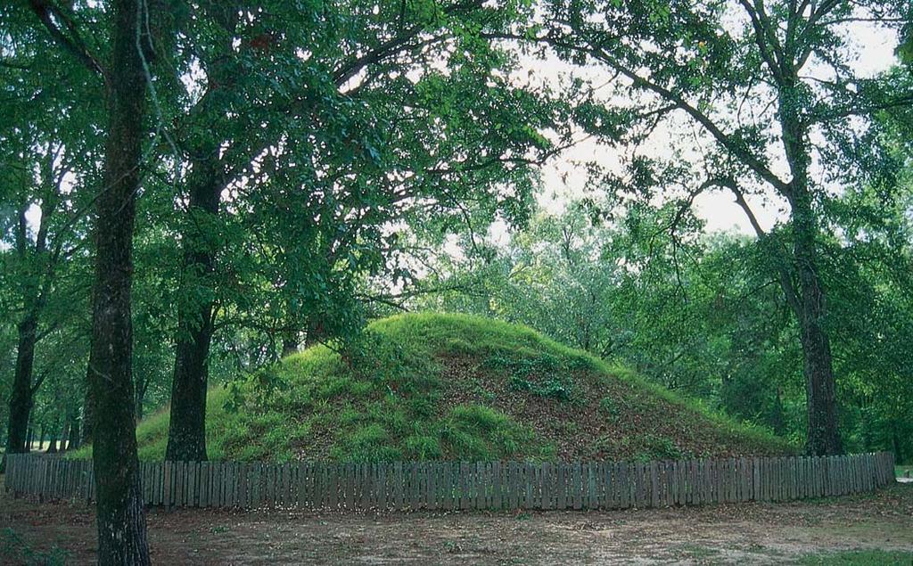 Mainstays of the early Neo menu were wild grapes, palmetto, fruits, pigweed, and amaranth. Amaranth Top: This burial mound is located at the Marksville State Commemorative Site.