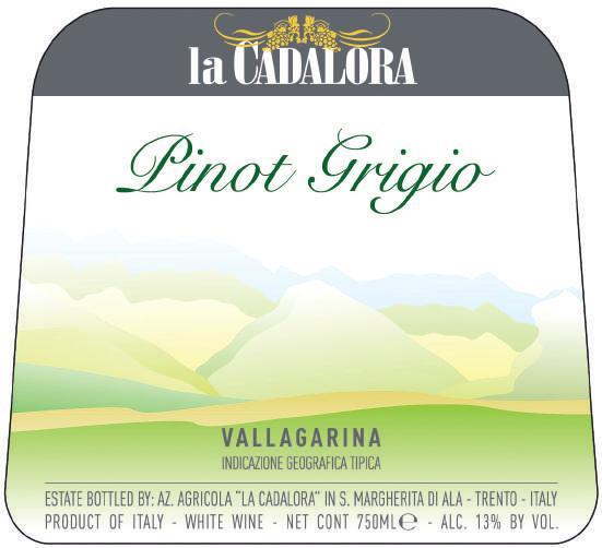 Varietal: 100% Pinot Grigio Vineyard Ext.: 3 hectares Average Prod.