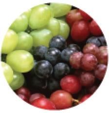GRAPES We have transitioned to the Central Valley where we will see good volume on larger sized fruit across all three colors. Quotes are sticking in the high teens to low 20 s on larger sizes.