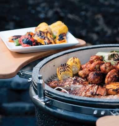 COOKING WITH YOUR KAMADO Your new Vision Grills Kamado is the complete outdoor cooking appliance that allows you to sear, grill, bake and smoke all types of food.