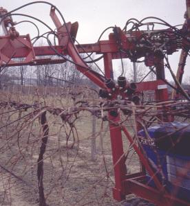 This unit can be quickly converted to a mechanical pruning operation.