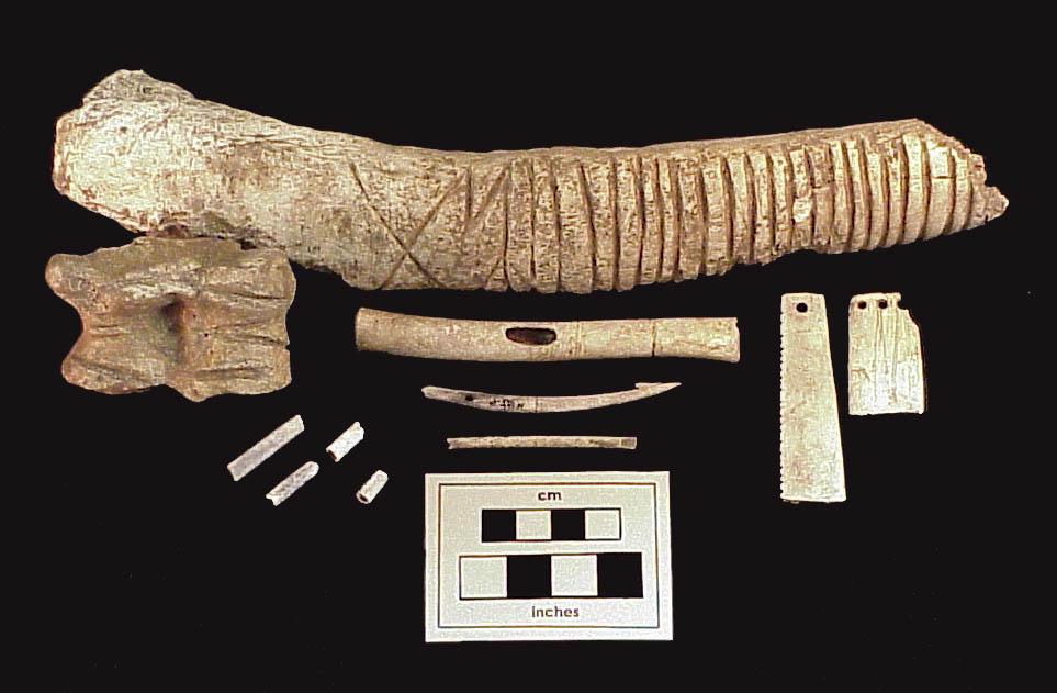 Mississippian & Oneota Traditions Page 43 A variety of Oneota artifacts were made of bones.