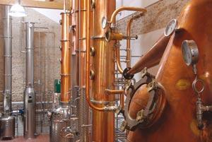 The Distillery: grappa between tradition and technological progress