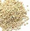Range includes cereals, grains, beans, lentils, pulses, nuts, seeds,