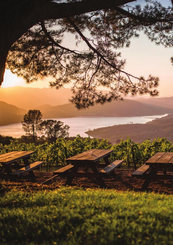 Cabernet Season Lazy Or Not So Lazy Afternoons From November to April, a slower, more intimate atmosphere emerges, allowing for personal experiences with winemakers and