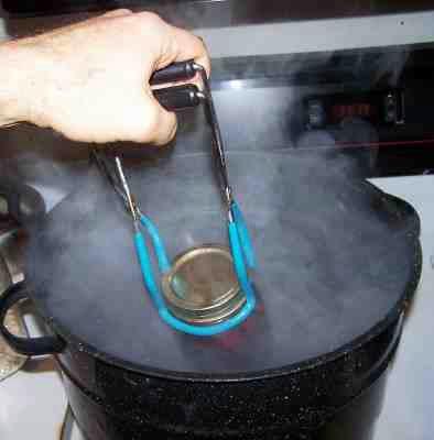 seat the lid and tighten the ring around them. Then put them into the boiling water canner!