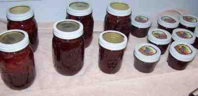 http://www.pickyourown.org/ the pectin tend to be pretty conservative. Clemson University says you only need to process them for 5 minutes.