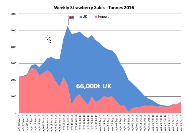 Total Strawberry Sales versus British Strawberries Weekly Strawberry Sales -
