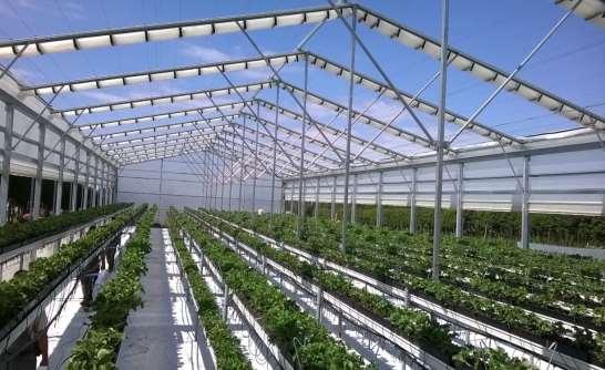 Cultivation Systems: The Future Table tops and