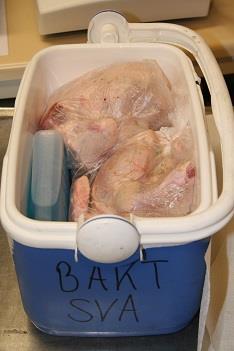 CAMPYLOBACTER-FREE MATRICES The chicken meat (PT19) and caecum samples (PT20) originated from a producer that according to the surveillance program had not had any Campylobacter for more than one