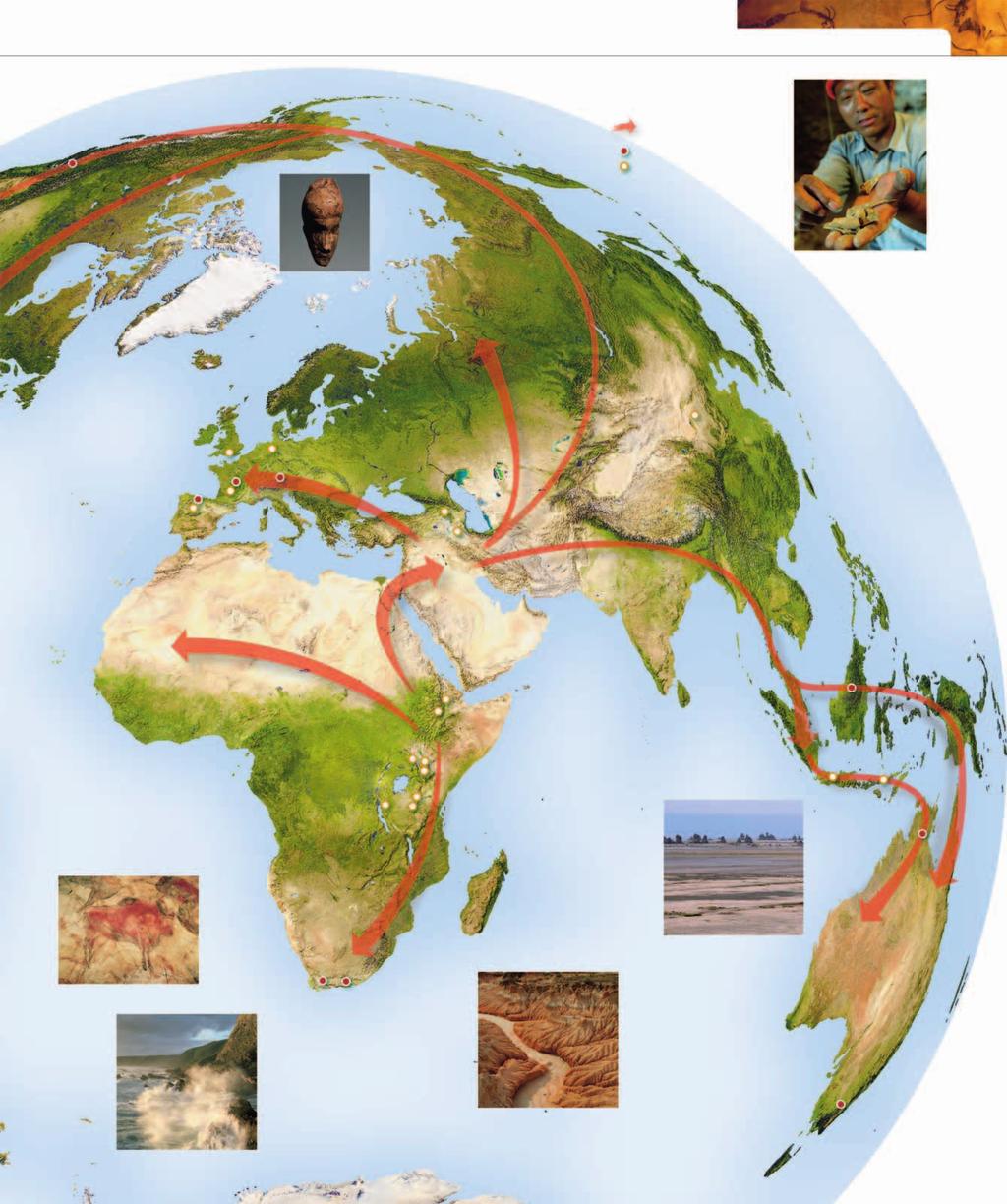OUT OF AFRICA Kennewick A M E R I C A 15,000 YEARS AGO Beringia Land Bridge KEY Migration of Homo sapiens around the world Site of early Homo sapiens find Site of early Hominin find This mammoth bone