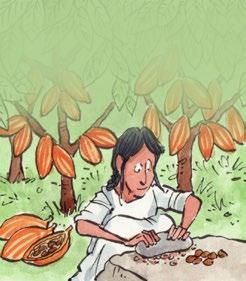 which later became Mexico, when farmers discovered the fruit, or pods, of the cocoa
