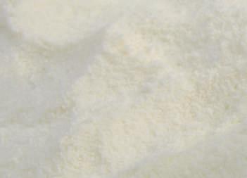 Dairy Milk Powders We are specialized in the