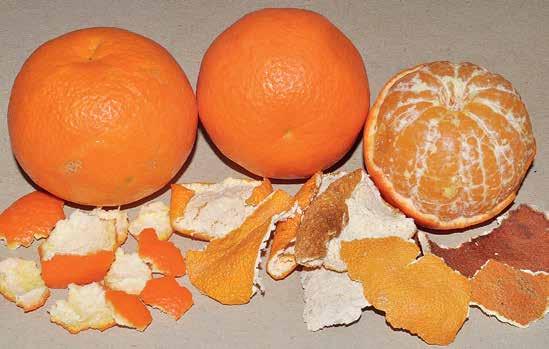 Mandarins and
